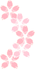 桜の壁紙、背景素材 o01