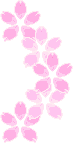 春、桜の壁紙、背景素材 o03