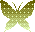 蝶のアイコン、イラスト ra04