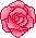 薔薇のアイコン、イラスト g13