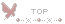 蝶のTOPアイコン 29e-top