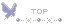 蝶のTOPアイコン 29f-top