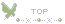 蝶のTOPアイコン 29g-top