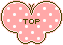 蝶のTOPアイコン 45a-top