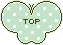 蝶のTOPアイコン 45c-top