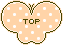 蝶のTOPアイコン 45d-top