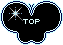 蝶のTOPアイコン 45f-top