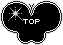 蝶のTOPアイコン 45g-top