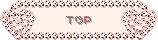 宝石のTOPアイコン 49a-top