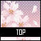 TOPアイコン 56a-top