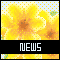 NEWSアイコン 56b-news