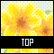 TOPアイコン 56b-top