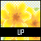 UPアイコン 56b-up