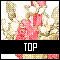 TOPアイコン 56d-top